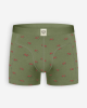 ADAM - Boxer Shorts GREEN BIKES