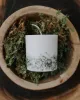 Soy Wax Candle: MOSS