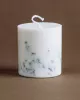 Soy Wax Candle: MOSS