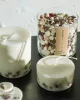 Munio Candela - Naturella - Moss Candle