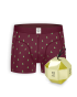 Boxer Shorts Burgundy X-mas Trees Box