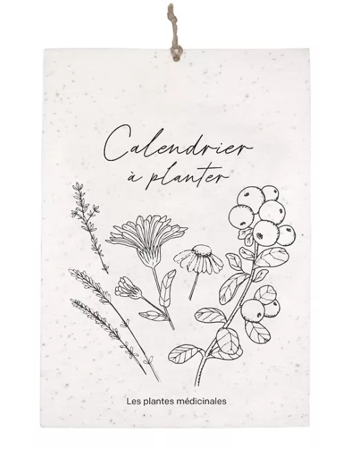 Growingpaper - Calendrier à planter perpétuel - Plantes médicinales