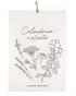 Perpetual Plantable Calendar - Medicinal Plants