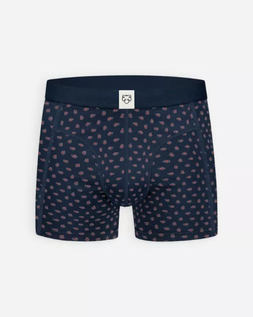 ADAM - Boxer Navy Paisley