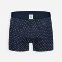 Boxer Navy Paisley