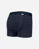 Boxer Shorts BLUE BIKES