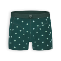 Boxer Green Dotted Earth