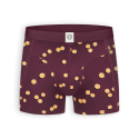 Boxer Burgundy Tennis Balls