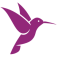 L'ENVOL DU COLIBRI website